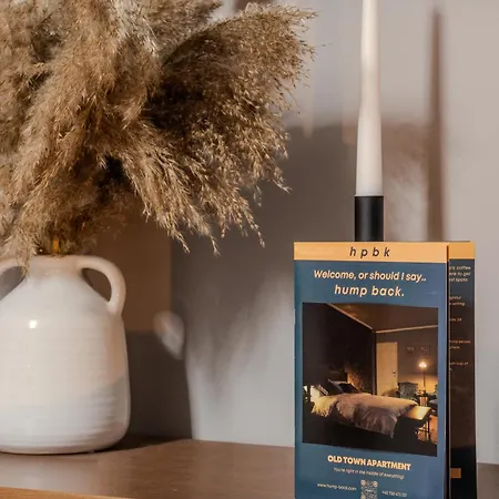 Old Town By Humpback Apartament Craiova