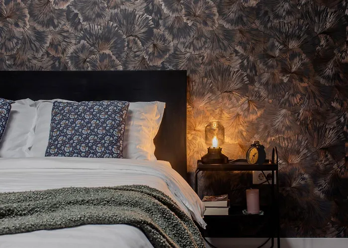 Old Town By Humpback * Craiova